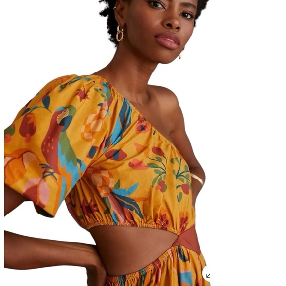 Farm Rio x Anthropologie One Shoulder Tropical Puff Sleeve Maxi Dress Large - Picture 4 of 16